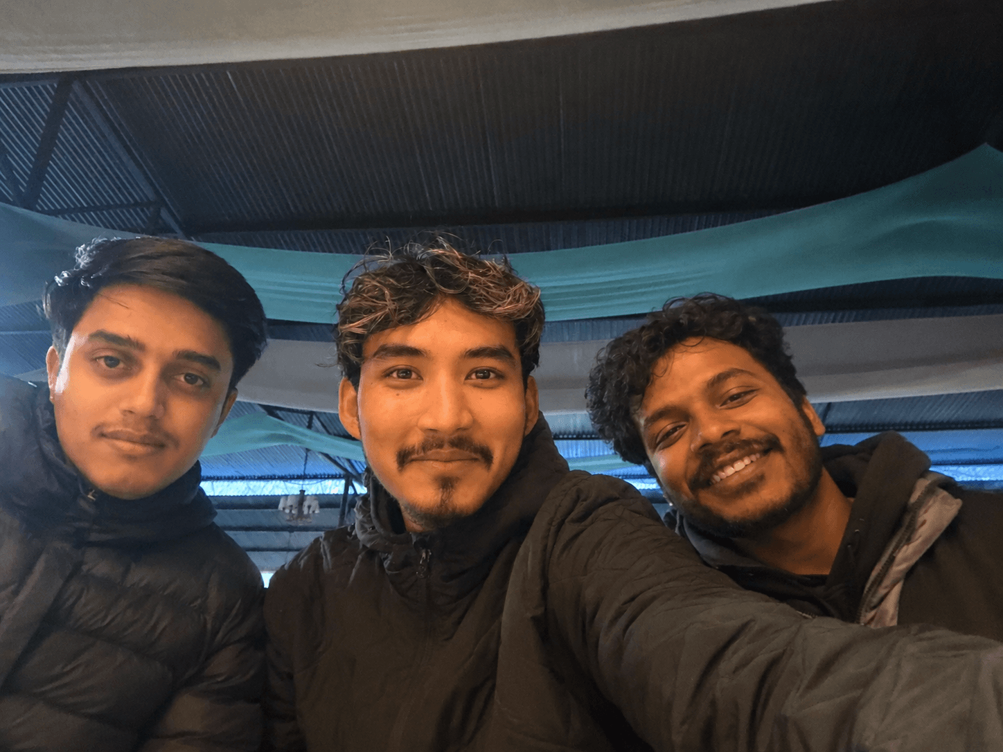The Ivy Studio team